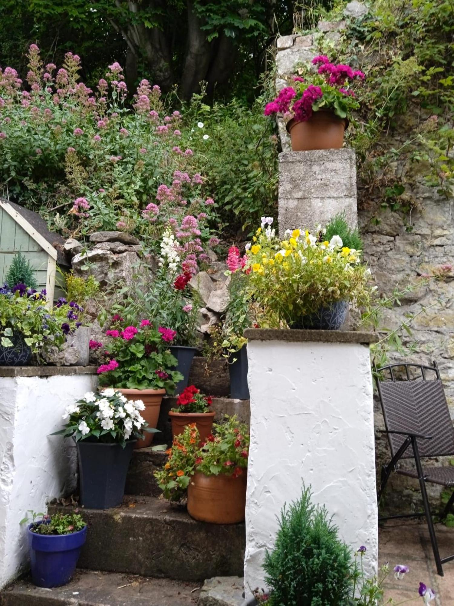 Copper Mine Cottage Llandudno Exterior foto